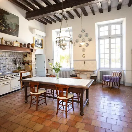 Willa 18th Century Chateau With Stunning Pool & Gardens Castelnau-Picampeau