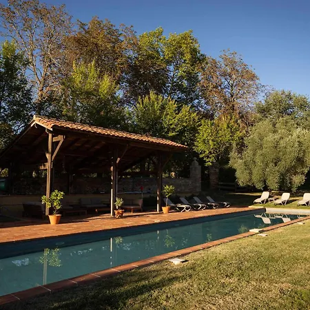 Willa 18th Century Chateau With Stunning Pool & Gardens Castelnau-Picampeau